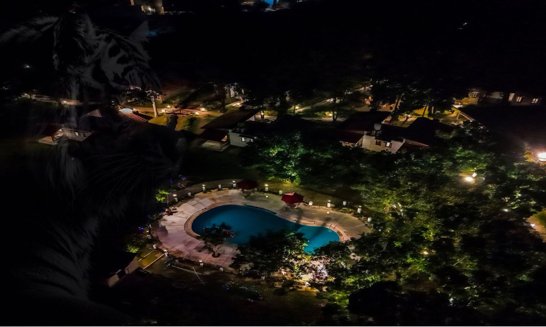 4 star hotels in tadoba national park