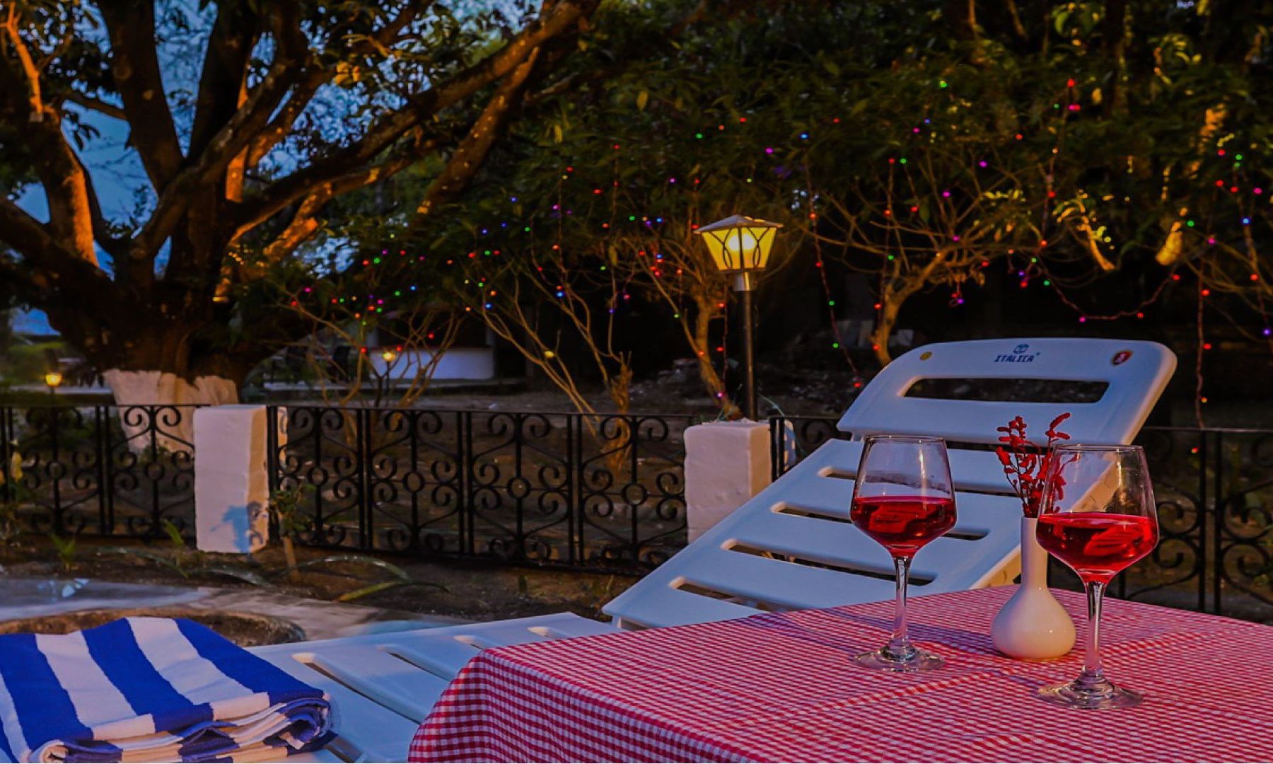 tadoba national park hotel booking